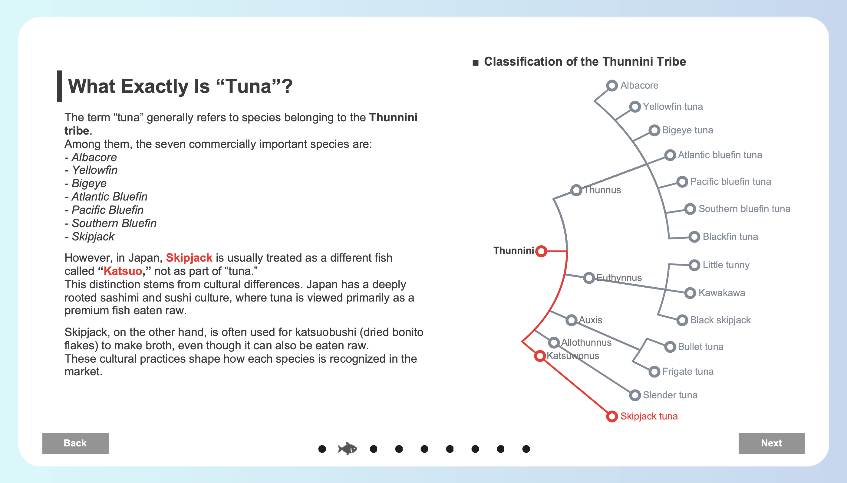 The Global Story of Tuna by Hideaki Yamamoto